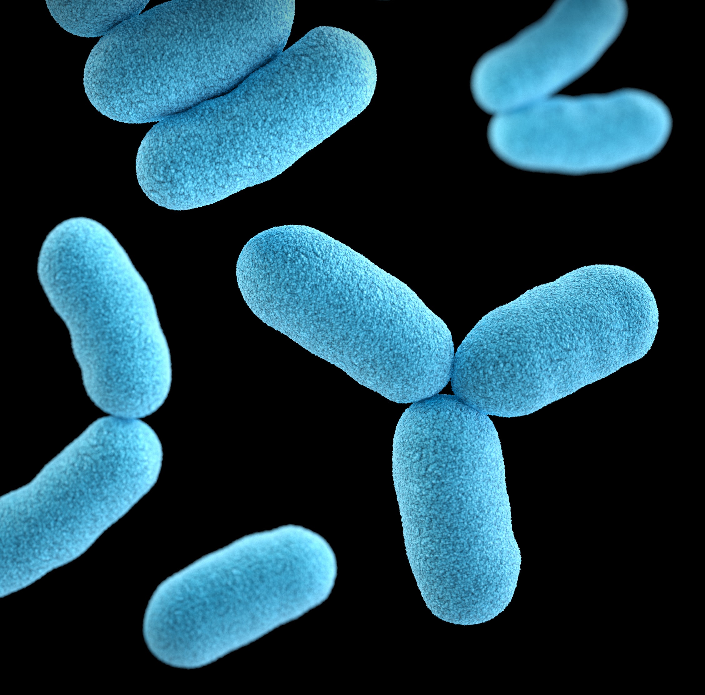 Legionella Testing